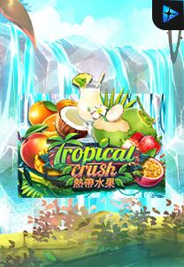 Bocoran RTP Tropical Crush di Timur188 Generator RTP Live Slot Resmi dan Akurat